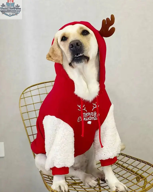 Merry Christmas Reindeer Dog Hoodie – Cozy Red & White Holiday Sweater - Shopthatapp.ca