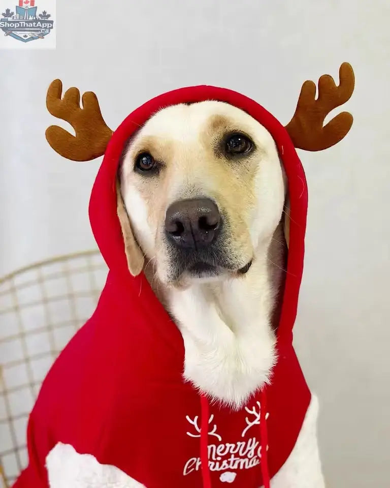 Merry Christmas Reindeer Dog Hoodie – Cozy Red & White Holiday Sweater - Shopthatapp.ca