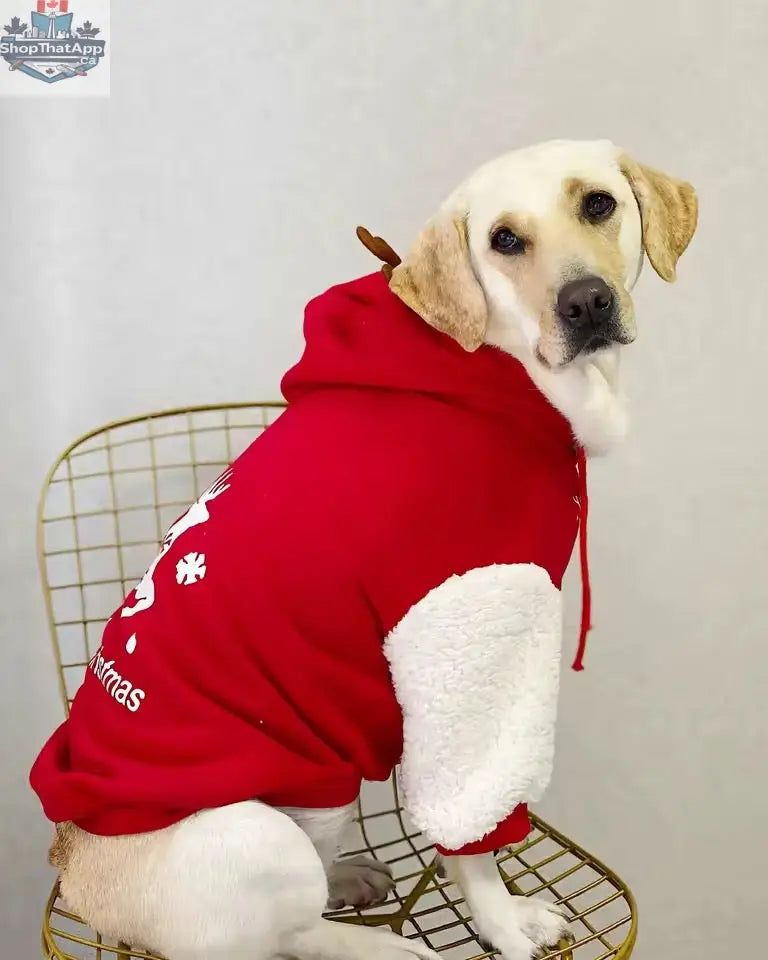 Merry Christmas Reindeer Dog Hoodie – Cozy Red & White Holiday Sweater - Shopthatapp.ca