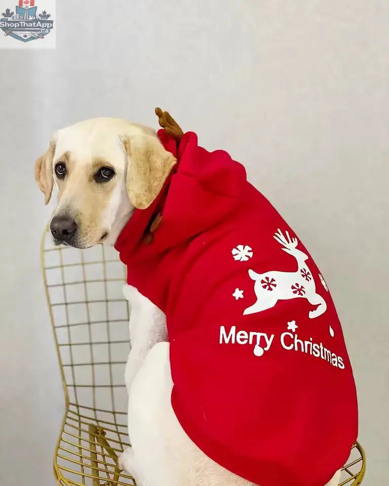 Merry Christmas Reindeer Dog Hoodie – Cozy Red & White Holiday Sweater - Shopthatapp.ca