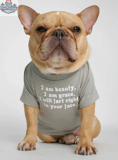 I Am Beauty I Am Grace I Will Fart Right In Your Face Funny Dog Tee Shirt - Grey - Shopthatapp.ca