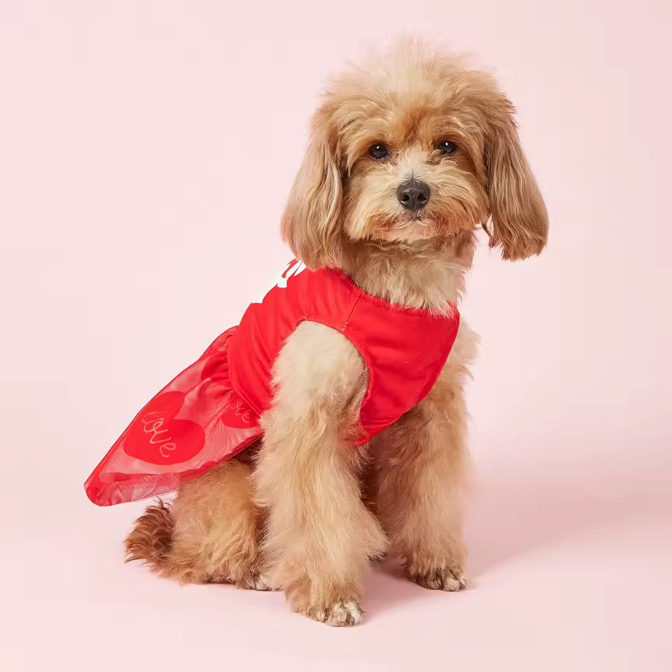 25¢ Kisses Valentine Dog Dress – Red Heart Puppy Outfit - Shopthatapp.ca