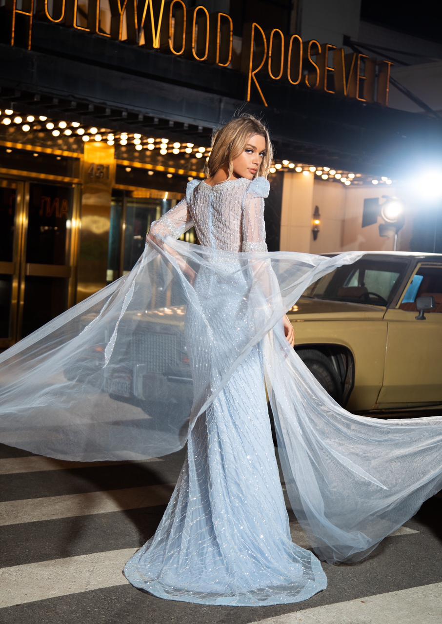 Embellished cape sleeves Evening Gown - Www.Shopthatapp.ca