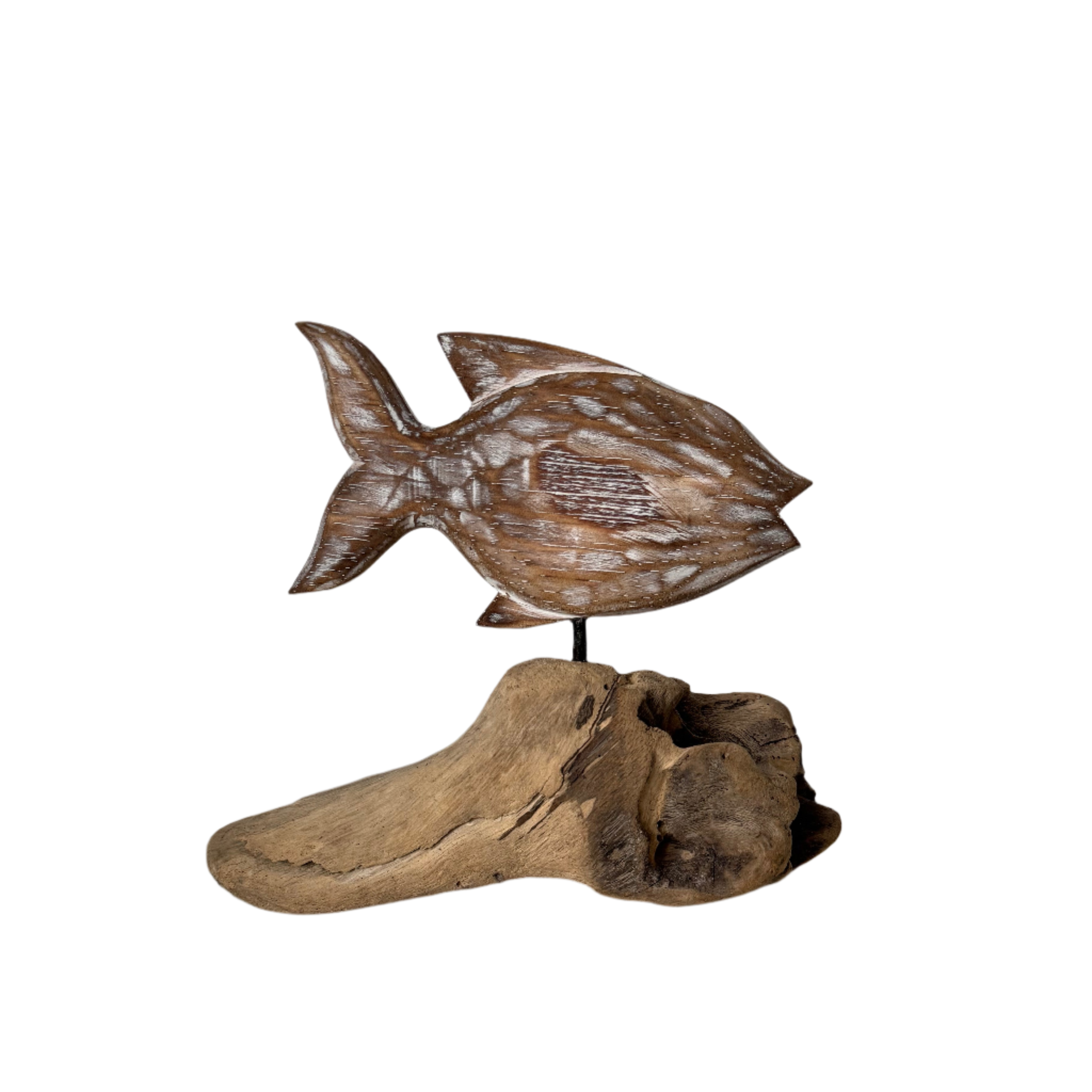 Driftwood Fish Decor - Natural - Shopthatapp.ca