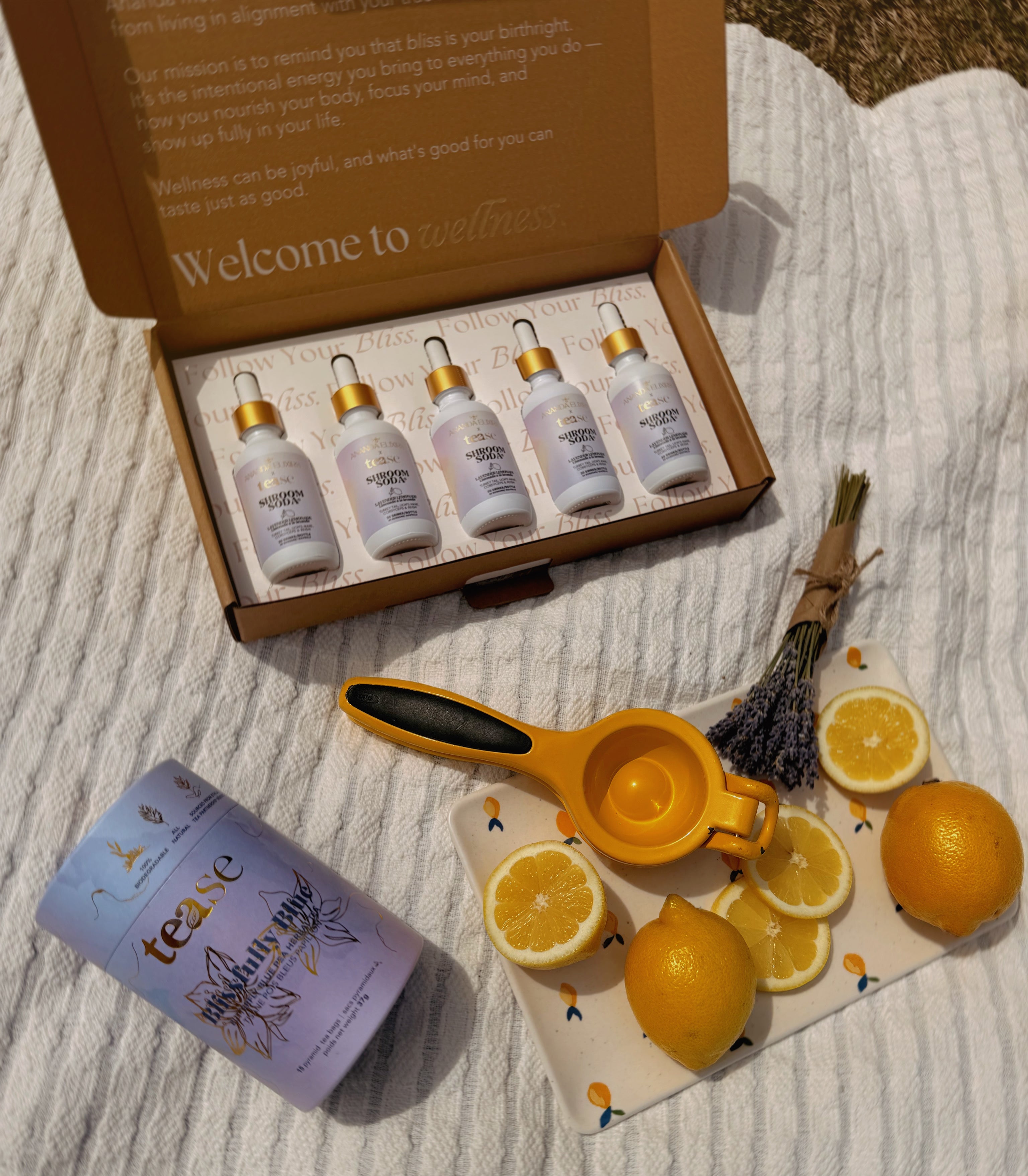 Shroom Soda® - Shopthatapp.ca