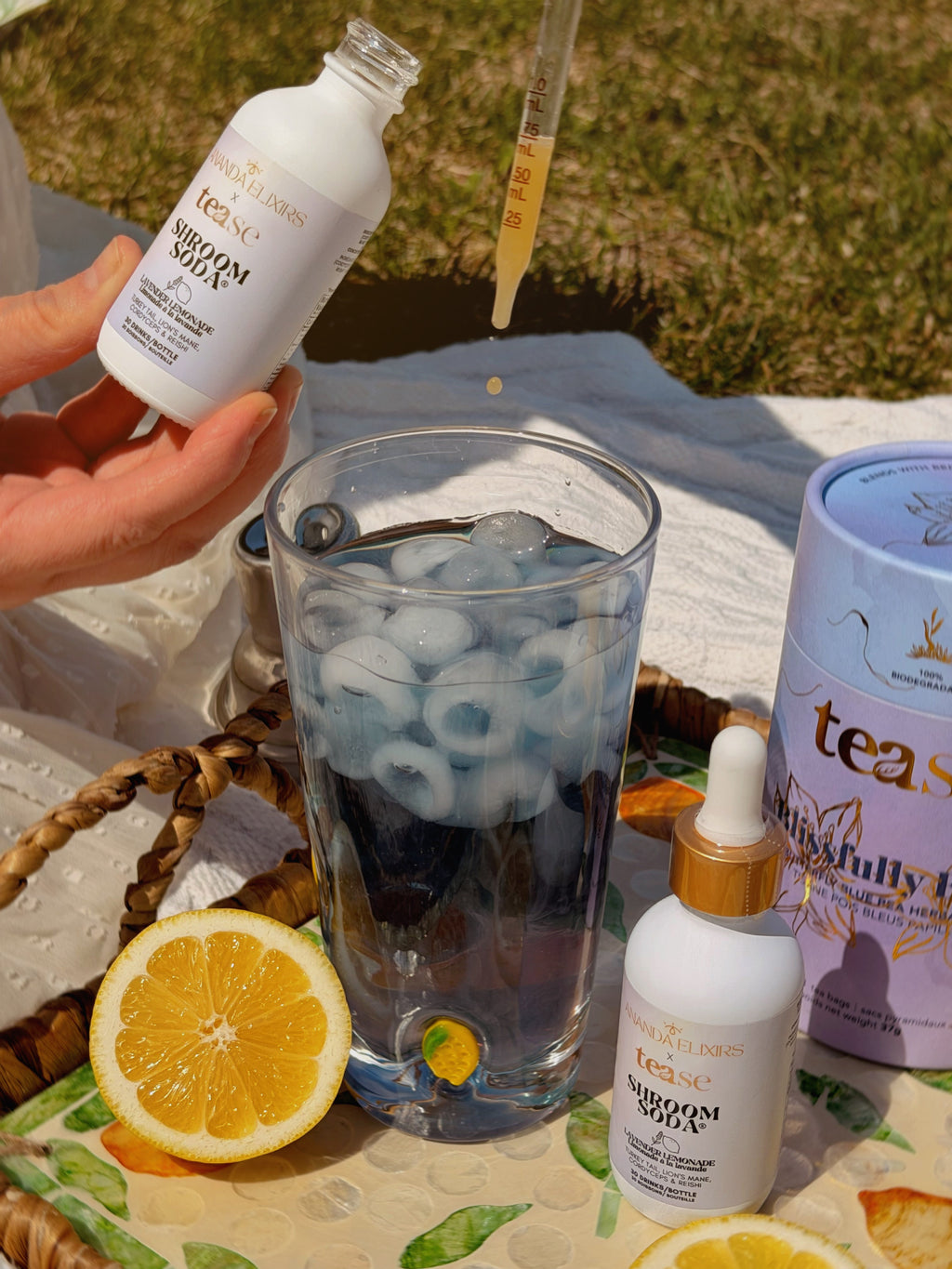 Shroom Soda® - Shopthatapp.ca