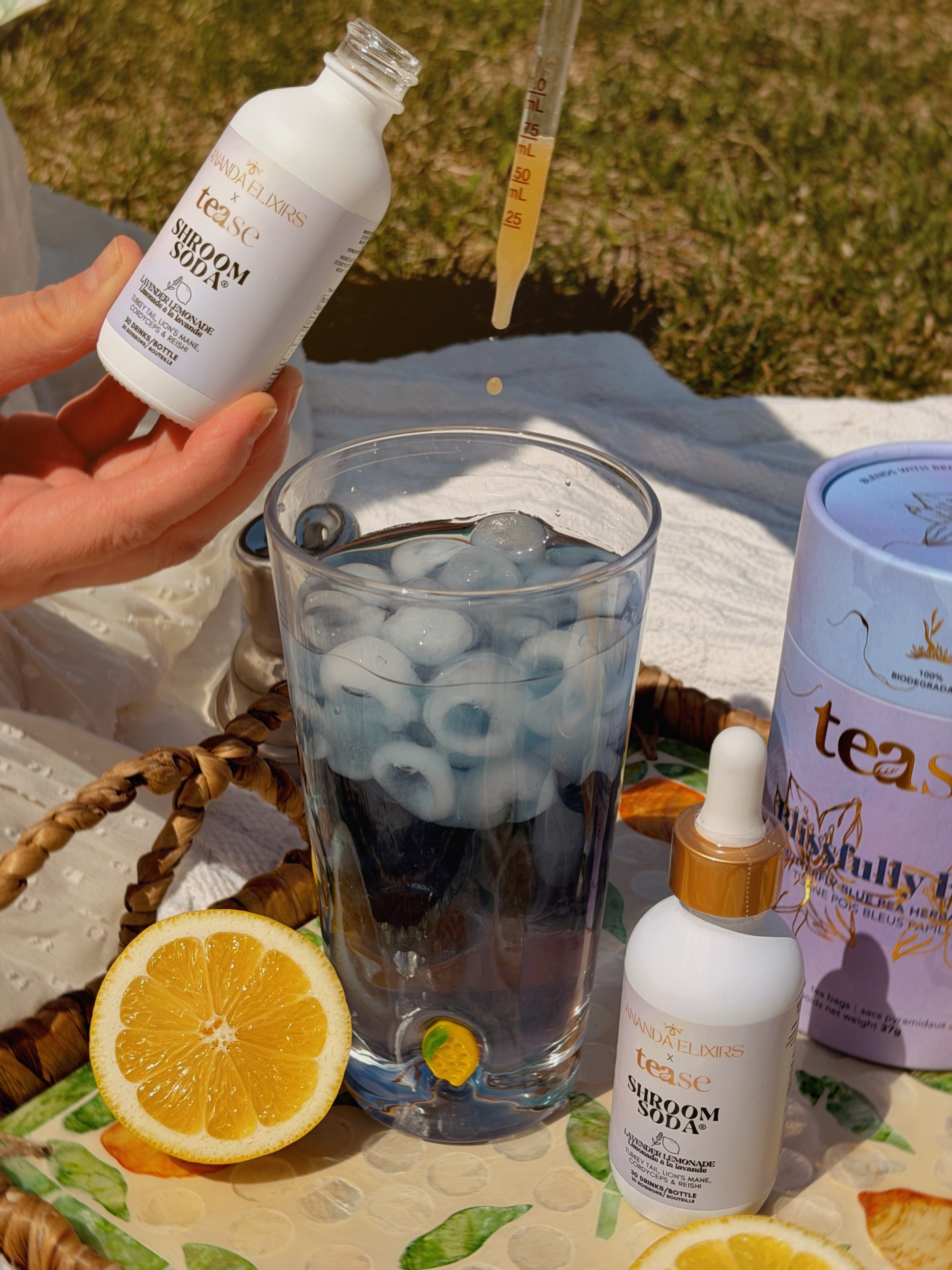 Shroom Soda® - Shopthatapp.ca