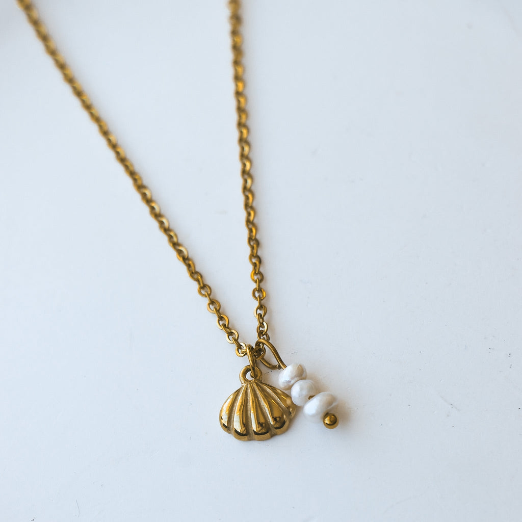 Mollio - Www.Shopthatapp.ca