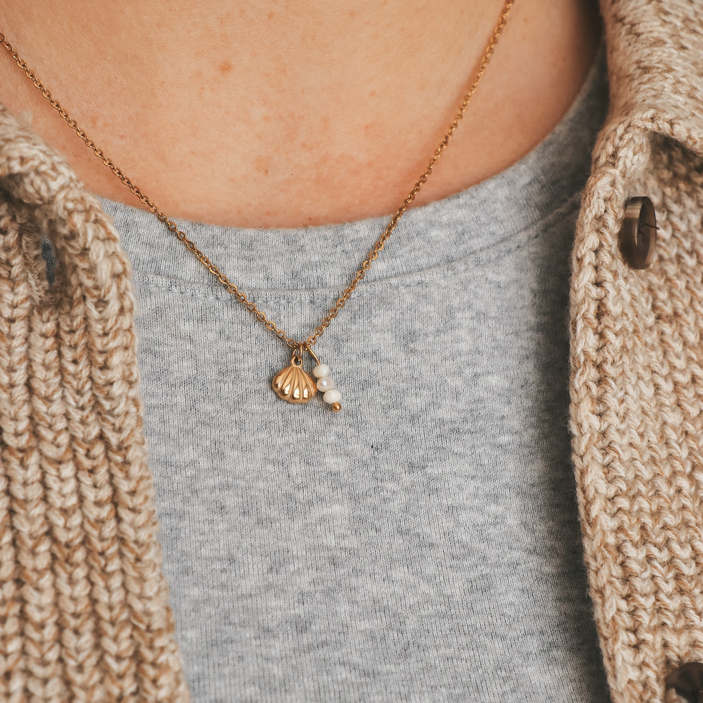 Mollio - Www.Shopthatapp.ca