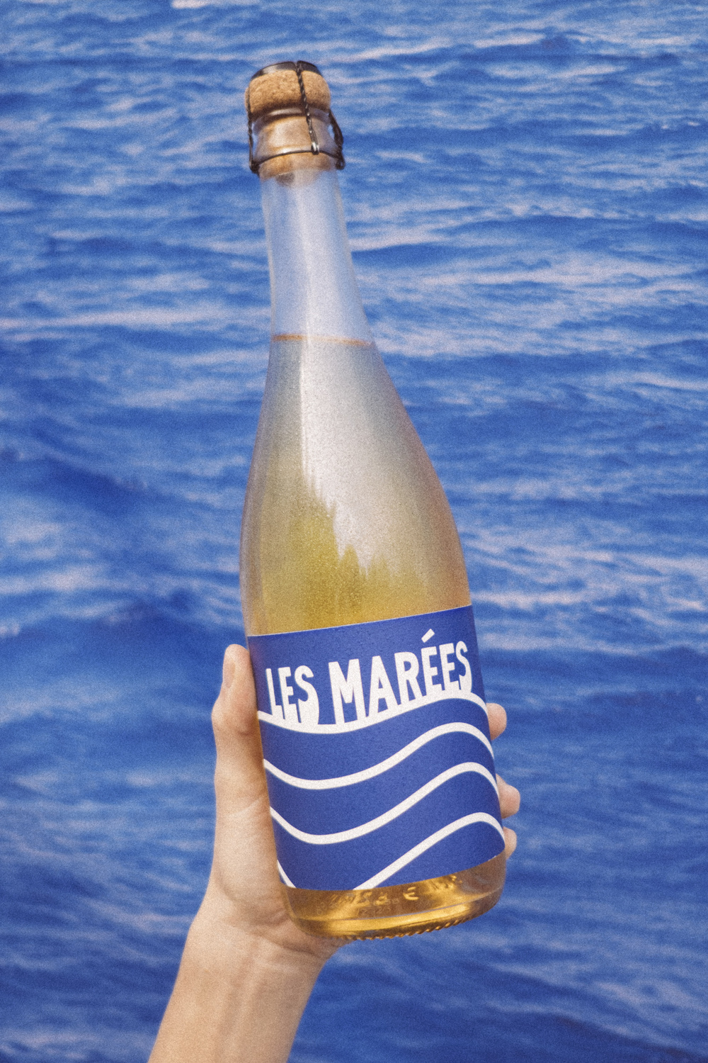 Les Marées Sparkling Blanc de Blanc - Premium Les Marées Sparkling Wine