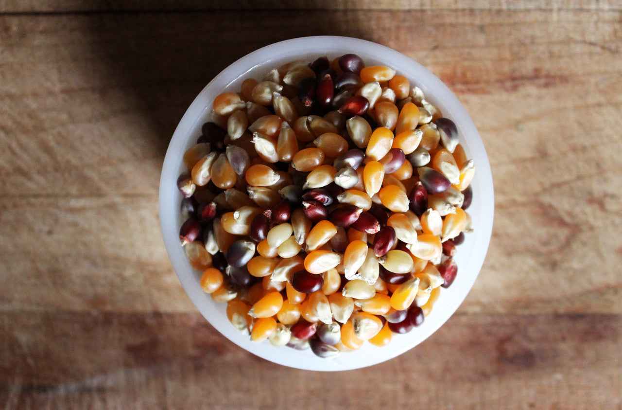Bulk Ancient Grain Organic Premium Popcorn Kernels (6lbs, 12lbs, 18lbs, 24lbs) (Product of Canada)