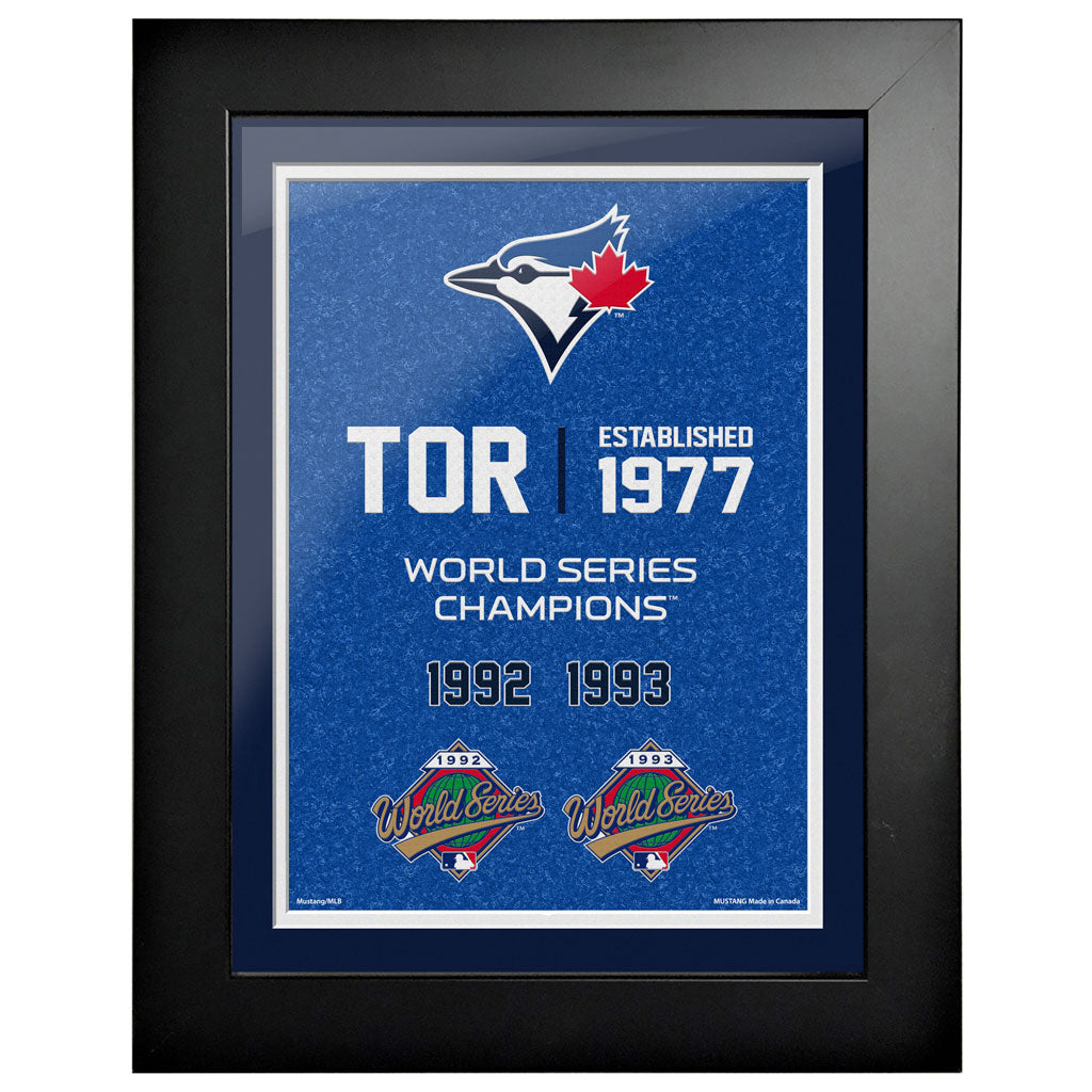 Toronto Blue Jays 12x16 World Series Empire Framed Art - Www.Shopthatapp.ca