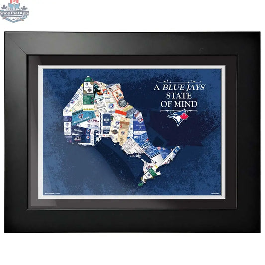 Toronto Blue Jays 12x16 framed wall art featuring team logo and vibrant blue design, perfect for sports decor display.