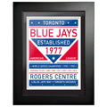 Toronto Blue Jays 12x16 Dual Tone Framed Artwork - Www.Shopthatapp.ca
