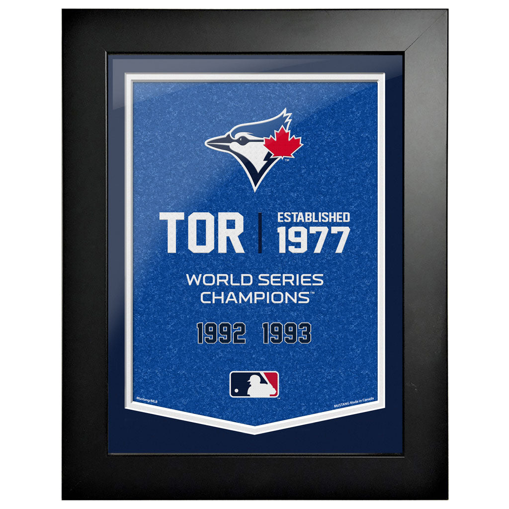 Toronto Blue Jays 12x16 Team Empire Framed Artwork - Www.Shopthatapp.ca