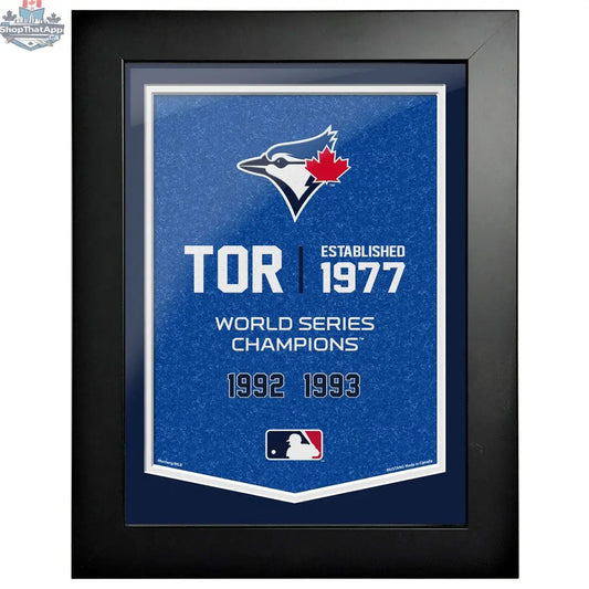 Toronto Blue Jays framed wall decor featuring team logo and dynamic design, 12x16 size, ideal for sports room or fan display.