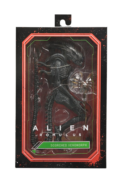 7-inch Alien Romulus Scorched Xenomorph action figure by Toy Snowman, detailed collectible toy in original packaging