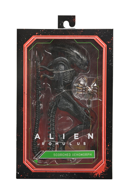 Alien: Romulus - 7" Scale Action Figure - Ultimate Scorched Xenomorph - Www.Shopthatapp.ca