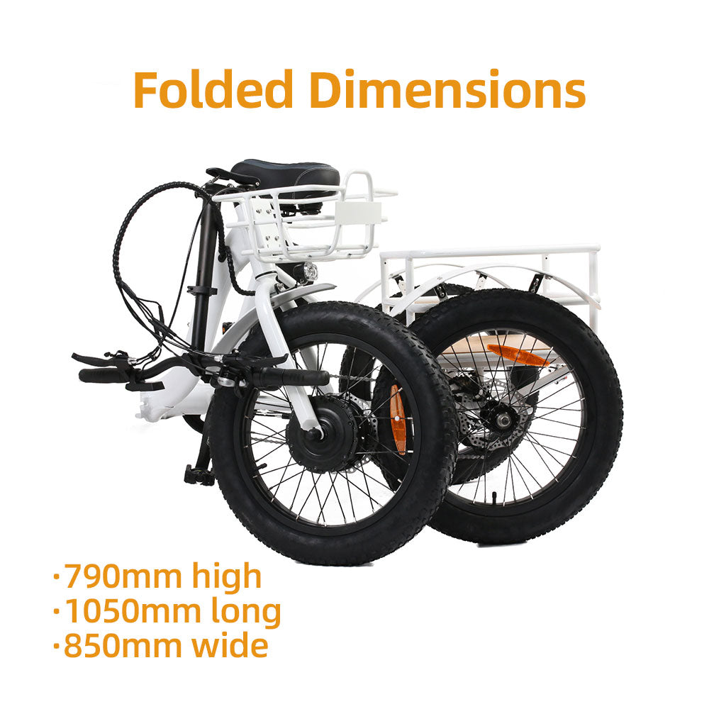 NEW-TRIKE 1.0 - Shopthatapp.ca