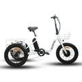 NEW-TRIKE 1.0 - Shopthatapp.ca