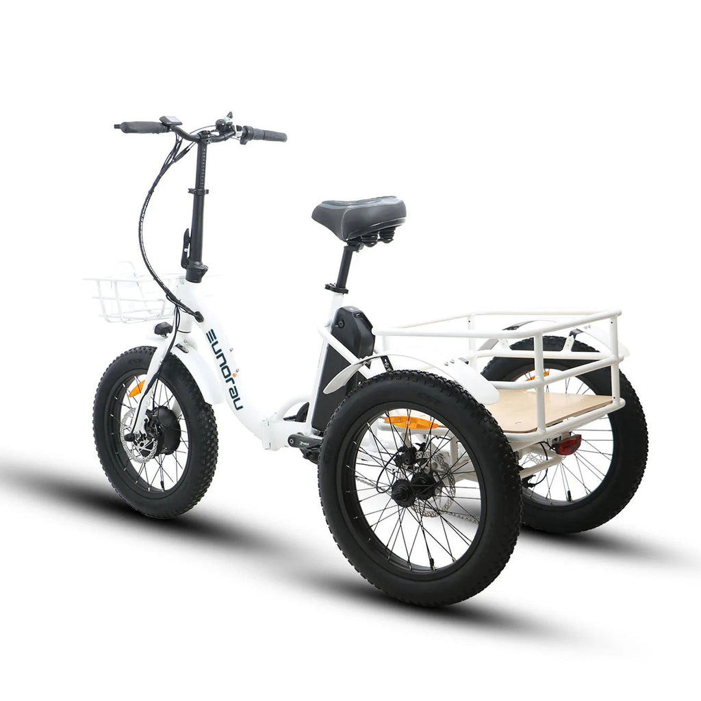 NEW-TRIKE 1.0 - Shopthatapp.ca