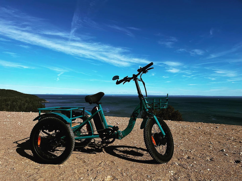 NEW-TRIKE 1.0 - Shopthatapp.ca