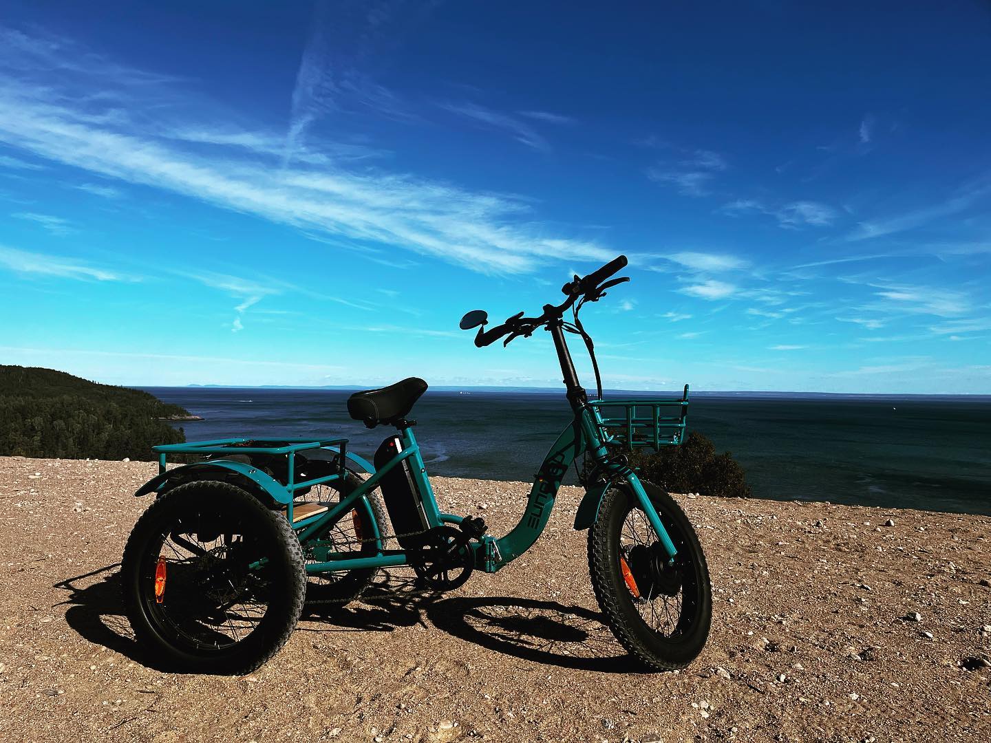 NEW-TRIKE 1.0 - Shopthatapp.ca