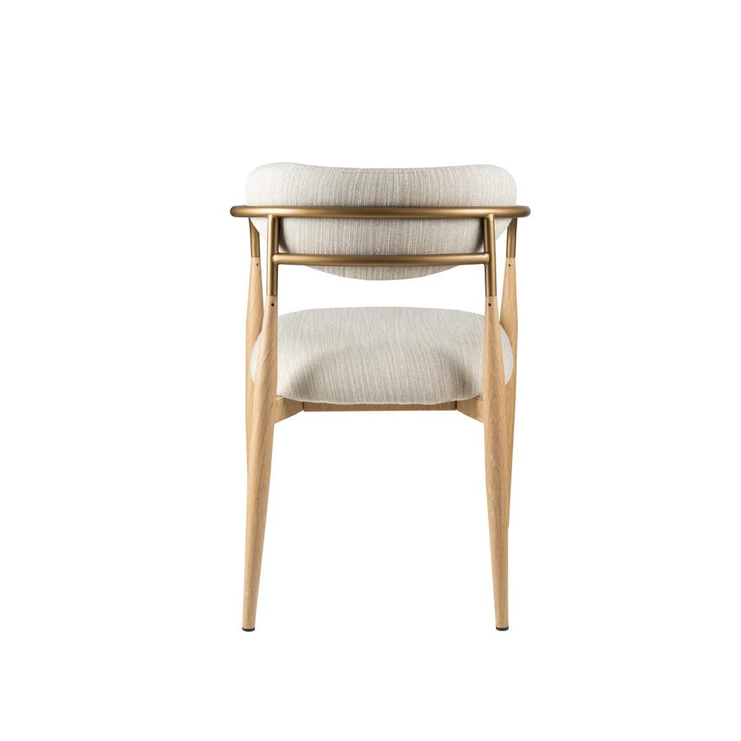 Newa Arm Dining Chair - Www.Shopthatapp.ca