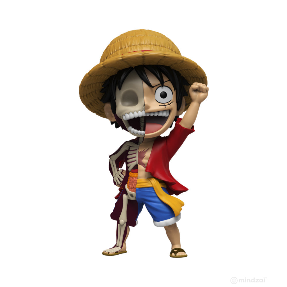 One Piece Hidden Dissectables Blind Box Series by Jason Freeny x Mighty Jaxx - Www.Shopthatapp.ca