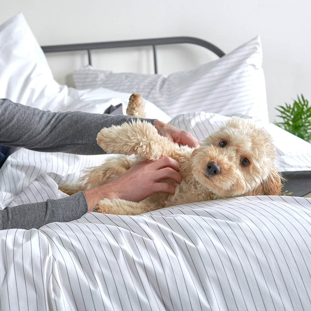 Essential Organic Percale Duvet Cover for Ultimate Comfort and Style - Shopthatapp.ca