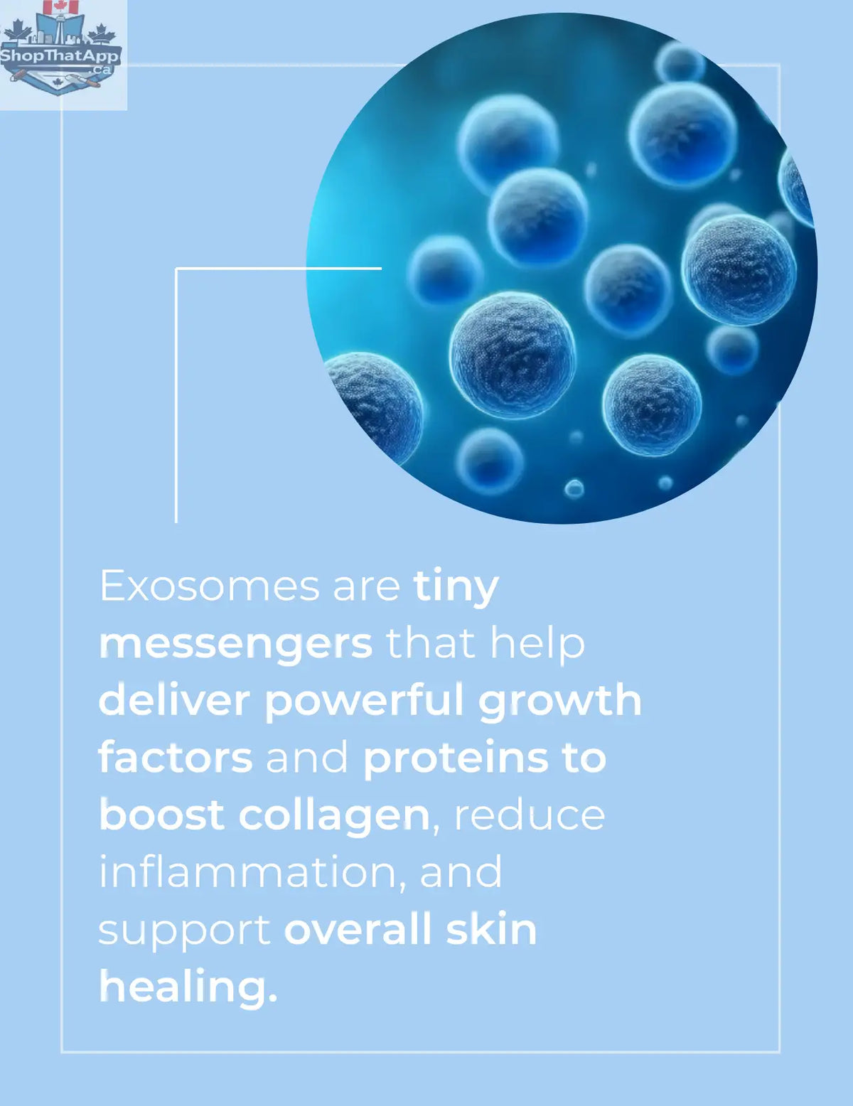 Exosome Skin Repair Serum - Shopthatapp.ca