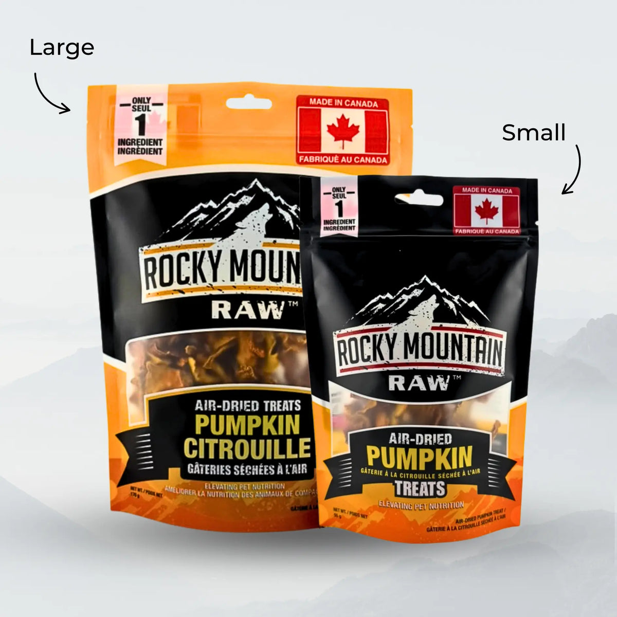 Air dried pumpkin treats by ROCKY MOUNTAIN RAW, natural treats for dogs, showcasing pumpkin pieces in a group.