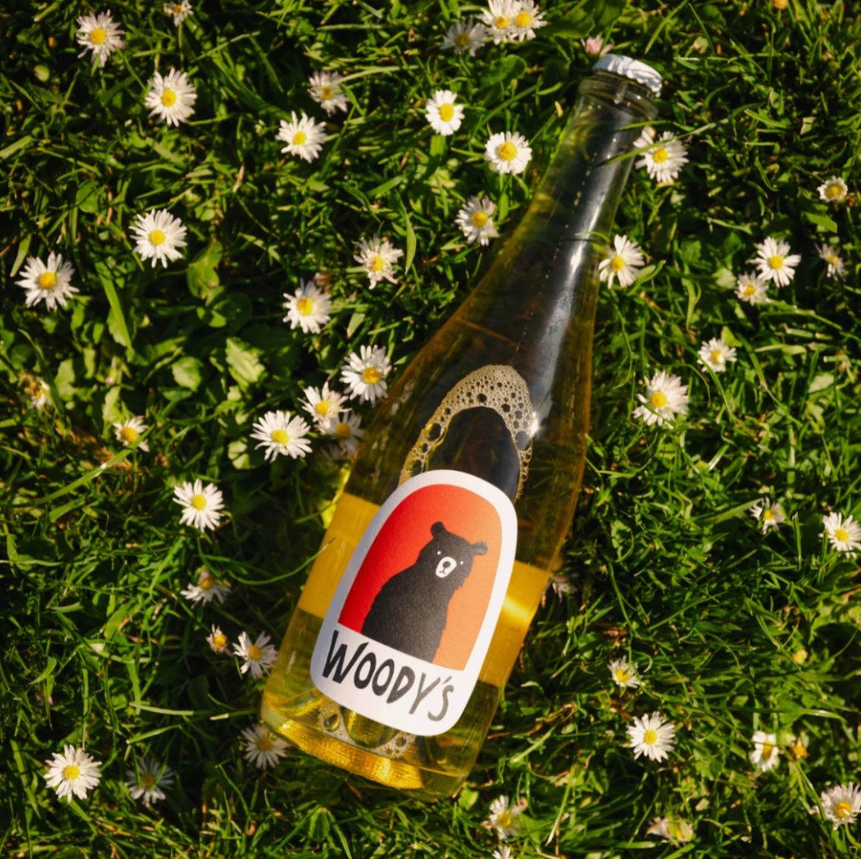 Woody's Sparkling Blanc de Blanc Modern Mule Shoes