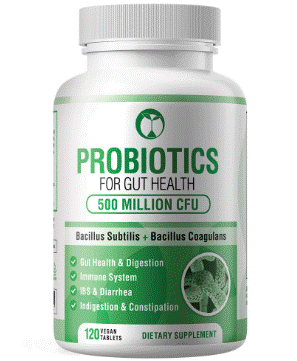 Probiotic Capsules — Multi-Strain 50 Billion CFU Daily Gut Support