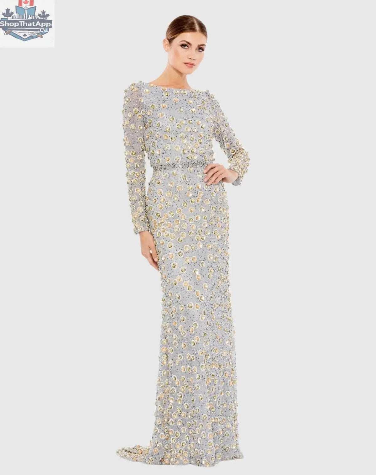 Silver embellished high neck evening gown with long sleeves by Elegant Threads, featuring intricate details and a sophisticated design.