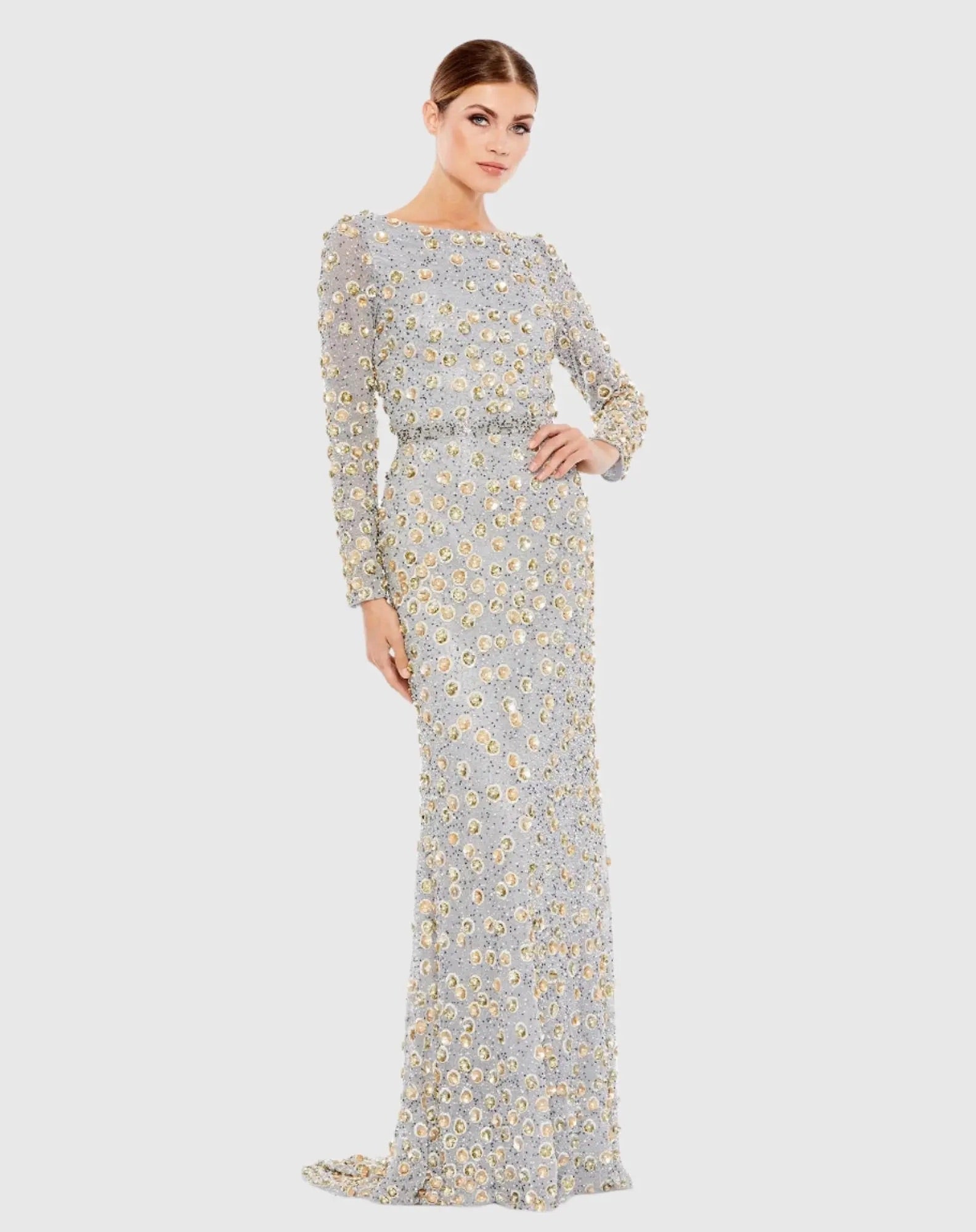 Embellished Long Sleeve High Neck Gown - Www.Shopthatapp.ca