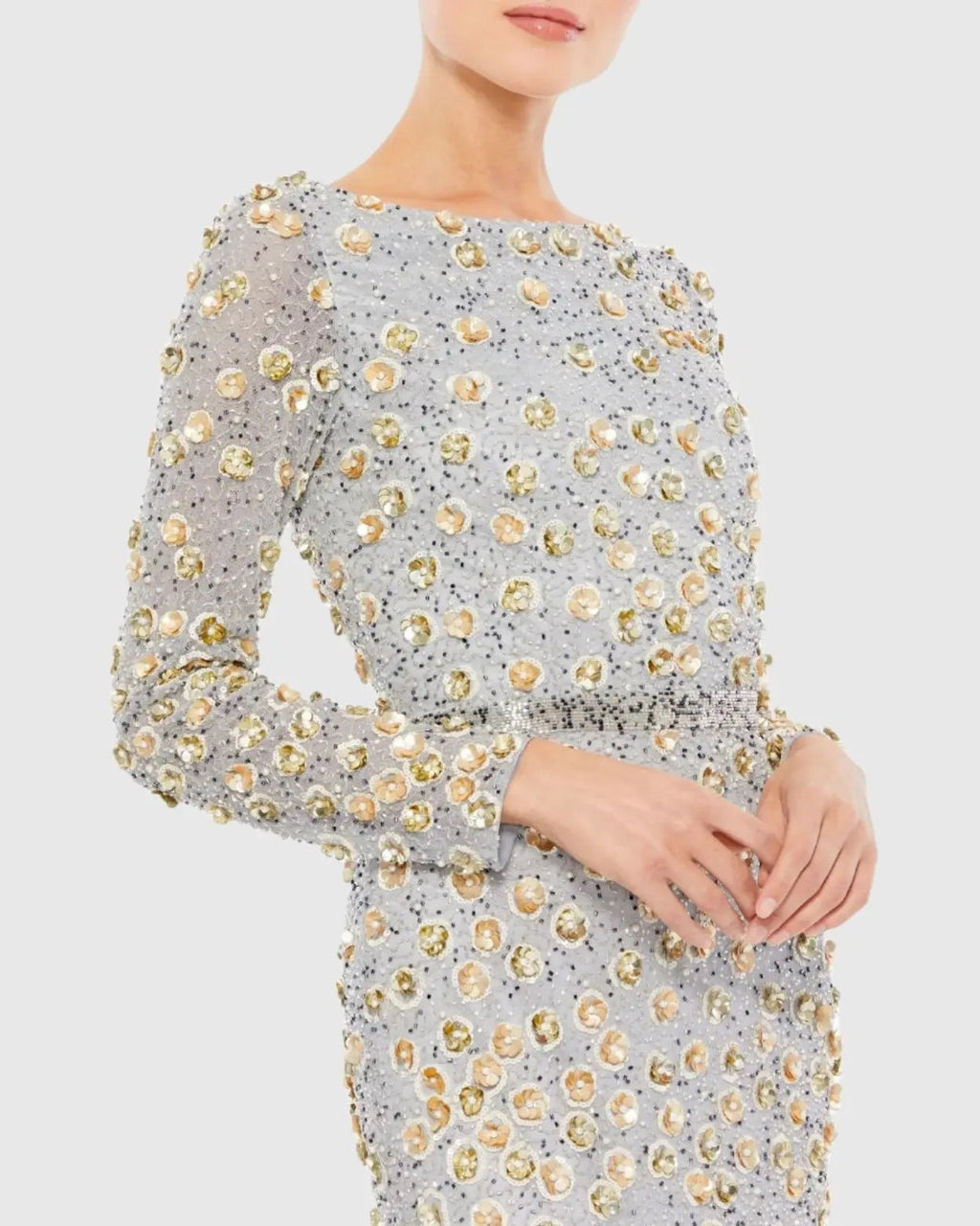 Embellished Long Sleeve High Neck Gown - Www.Shopthatapp.ca