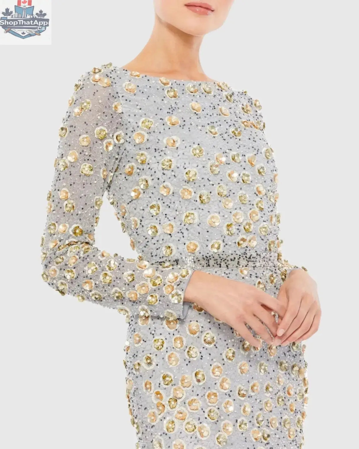 Elegant Threads silver embellished high neck evening gown with long sleeves, featuring intricate detailing and a sophisticated silhouette.
