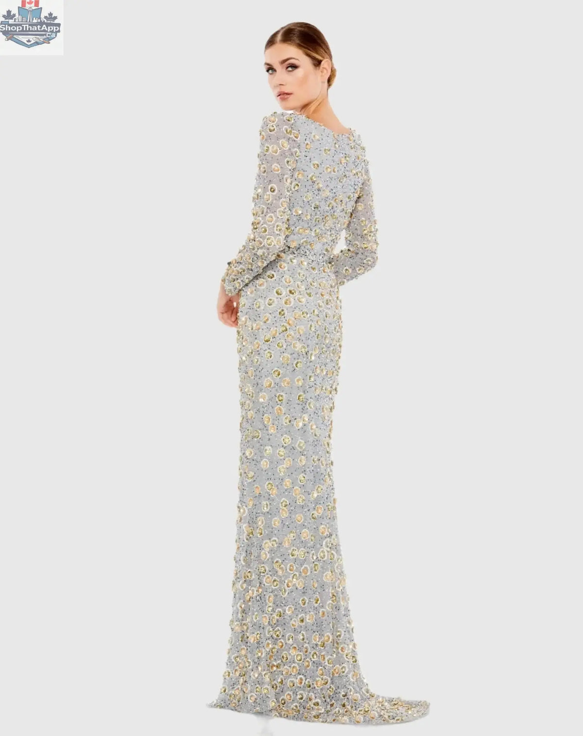 Silver embellished high neck evening gown with long sleeves by Elegant Threads, featuring intricate beadwork and a flowing silhouette.