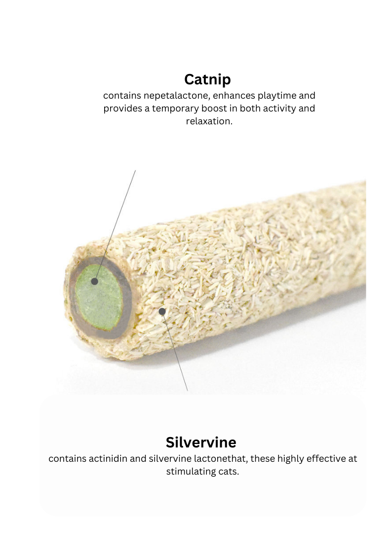 Silvervine Egg Rolls 2pcs - Shopthatapp.ca