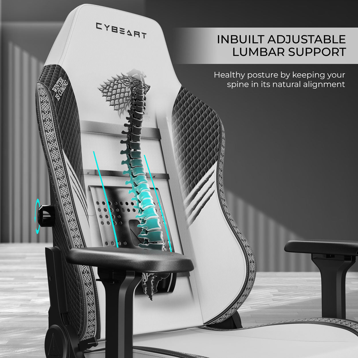 House Stark Gaming Chair - Shopthatapp.ca