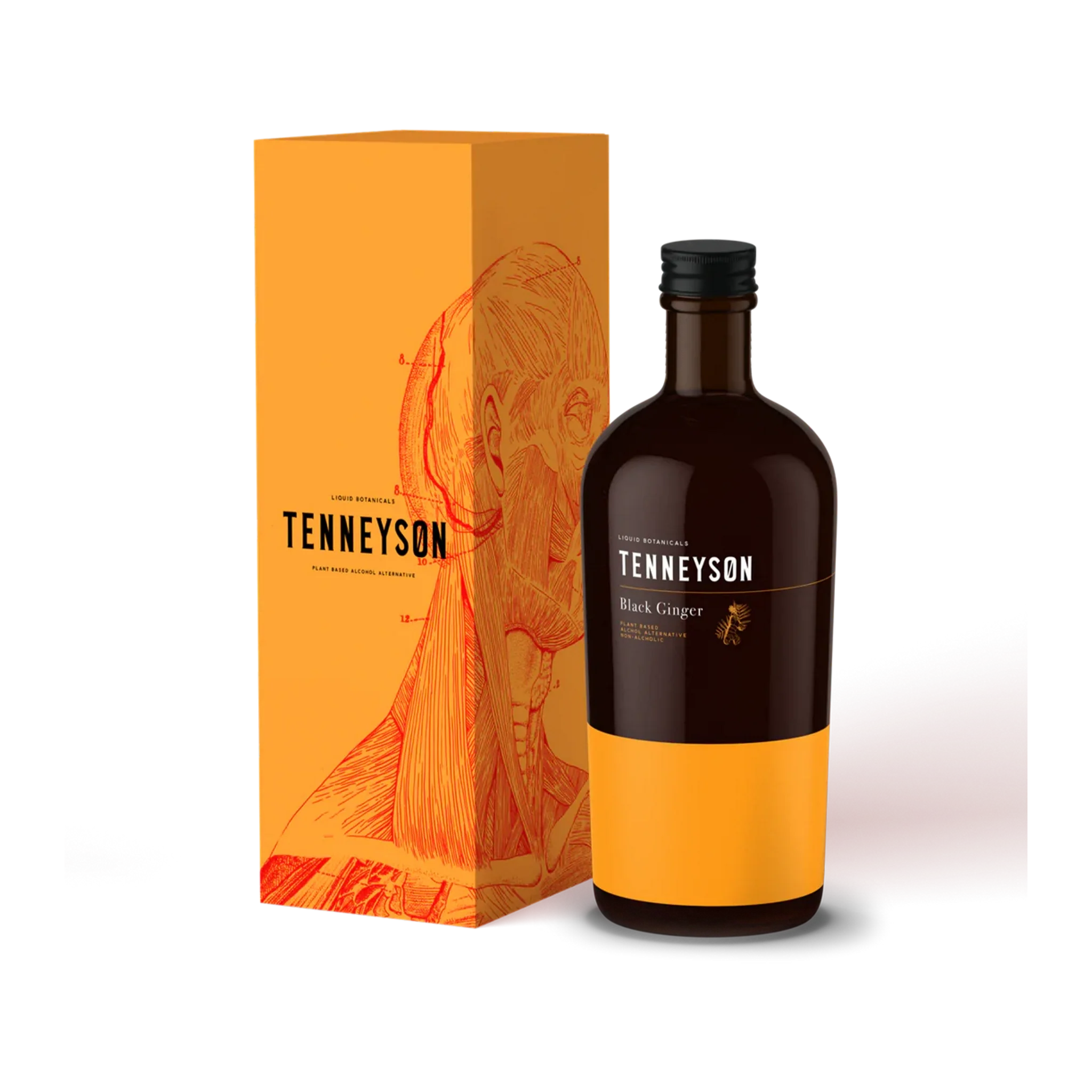 Tenneyson Black Ginger Tea - Premium Herbal Blend for Wellness