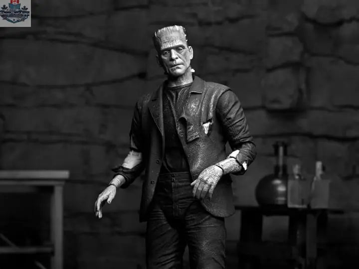 Black and white Bride of Frankenstein collectible action figure by Toy Snowman, featuring detailed Frankenstein's Monster design.
