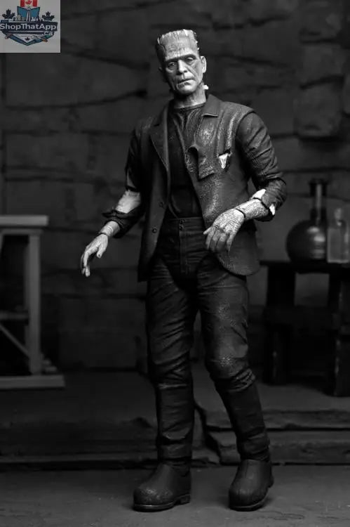 Black and white Bride of Frankenstein collectible action figure by Toy Snowman, featuring Frankenstein's monster from Universal Monsters.