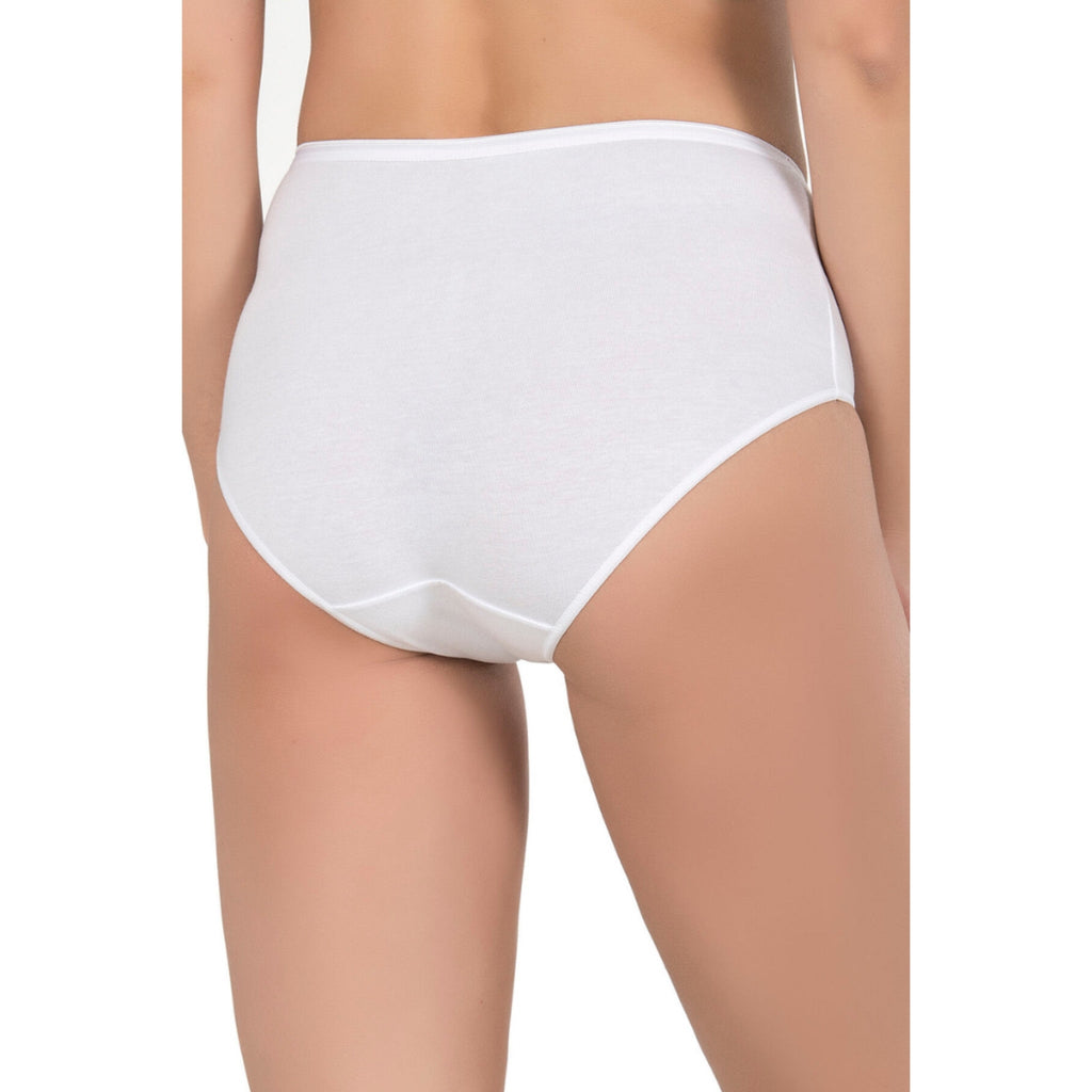 Women’s High-Waist Modal Cotton Panties – 3 Pack - Shopthatapp.ca