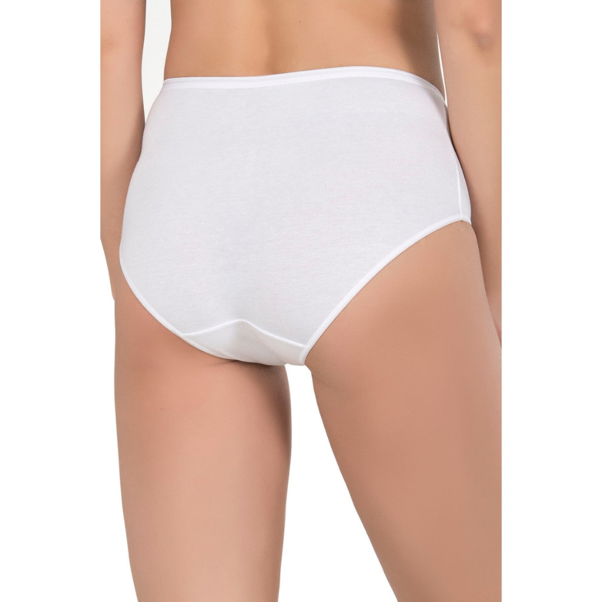Women’s High-Waist Modal Cotton Panties – 3 Pack - Shopthatapp.ca