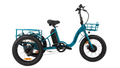 NEW-TRIKE 1.0 - Shopthatapp.ca