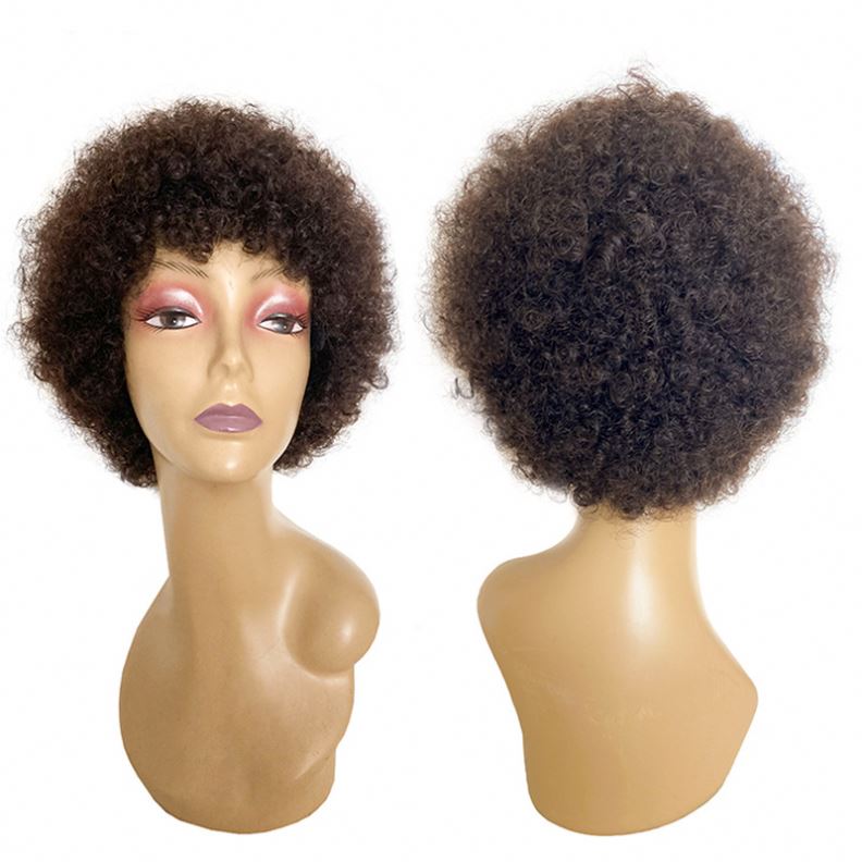 Afro Curly Pixie Cut Wig - Short Curly Human Hair Wigs for Black Women - Shopthatapp.ca