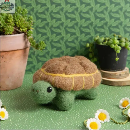 Hawthorn Needle Felting Kit by Art Noise for creating a handmade tortoise craft with wool felting supplies and tools.