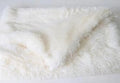Cozy Pet Blanket — Ultra-Soft Washable Blanket for Dogs & Cats